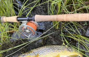 Lough Fada brownies fit & fighting on family fishing day