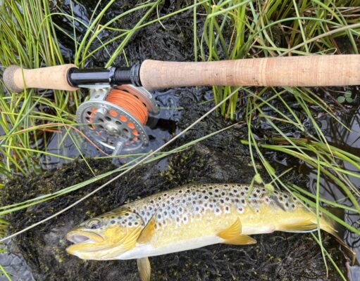 Lough Fada brownies fit & fighting on family fishing day