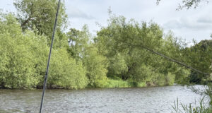 Rain sees streamers work well on the Nore