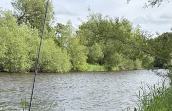 Irish Angling Update 11 June 2026