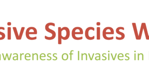 Invasive Species Week: Anglers Can Help Protect Our Native Crayfish
