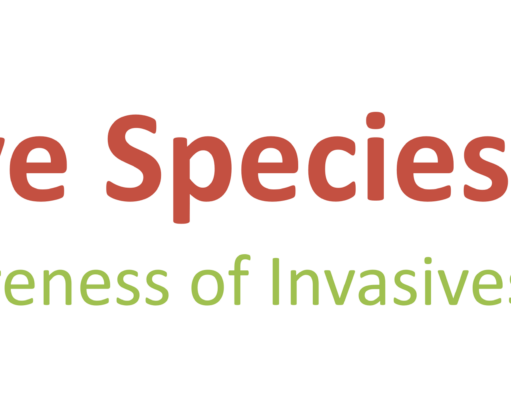 Invasive Species Week: Anglers Can Help Protect Our Native Crayfish