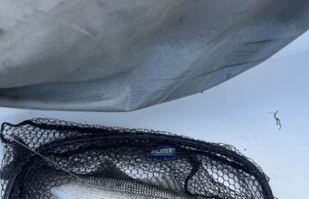 Family Ties and Tight Lines in Cobh