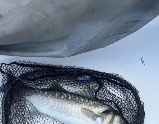 Family Ties and Tight Lines in Cobh