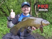 PikeSeeker recommends tench tactics
