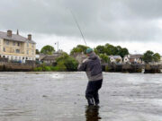 Salmon angling picks up on the Moy as grilse run starts