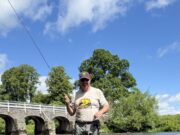 Dan O’Neill with an update from the River Nore