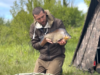 Secret specimen lake for wild tench & bream