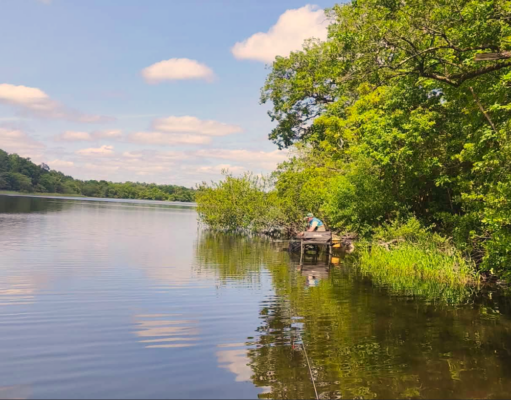 CM Lakelands Open Feeder Cup – Round 2