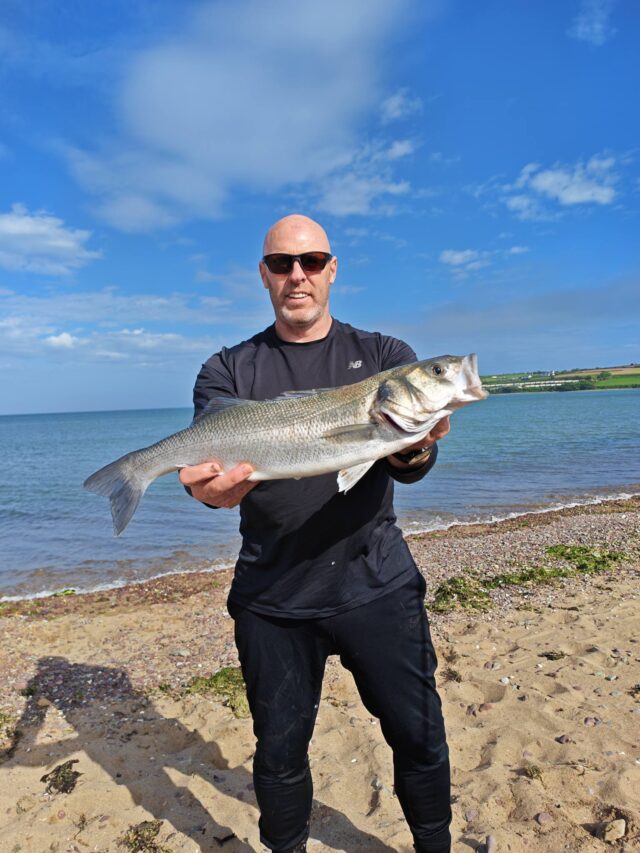 Stepehen O'Donovan bass