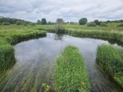 Irish Angling Update 🎣 19 June 2026