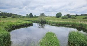 Irish Angling Update π£ 19 June 2026