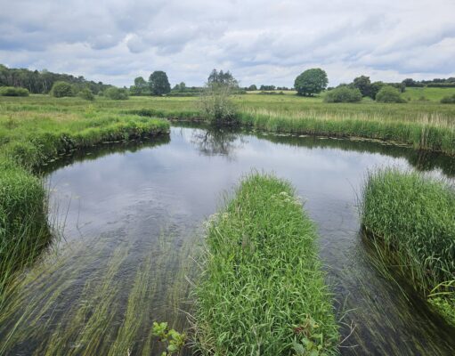 Irish Angling Update 🎣 19 June 2026
