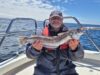 A good mix of species while waiting for sharks with West Cork Charters
