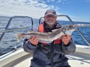 A good mix of species while waiting for sharks with West Cork Charters