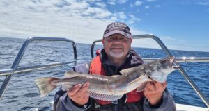 A good mix of species while waiting for sharks with West Cork Charters
