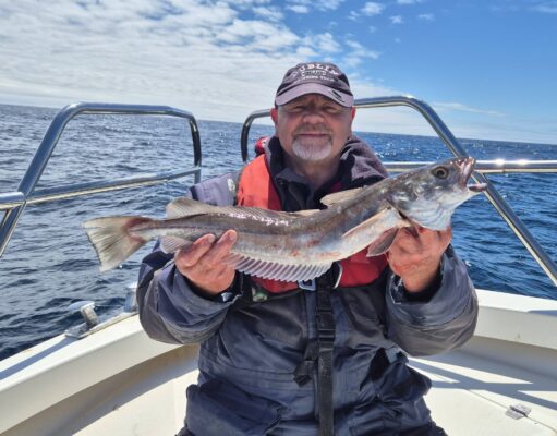 A good mix of species while waiting for sharks with West Cork Charters