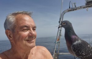 Sharks, big whiting and unexpected visitors for West Cork Charters Homesick homing pigeon