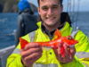 A clean sweep of the North Atlantic shelf for North West Charters