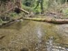 Learn about the Riverwood Project in Ireland