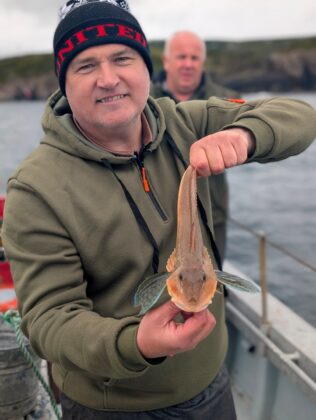 tub gurnard