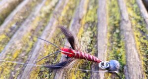 Makeshift lures tempt tench in midlands