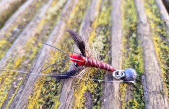 Makeshift lures tempt tench in midlands