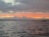 Irish Angling Update 🎣 09 July 2026