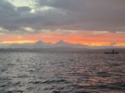 Irish Angling Update 🎣 09 July 2026