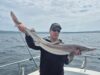 Spurred on in Galway Bay