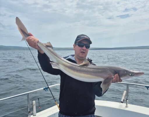 Spurred on in Galway Bay