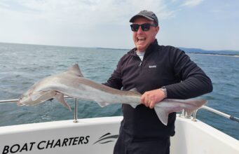 Pollack from the wrecks & specimen sized Tope for Wicklow Boat Charters