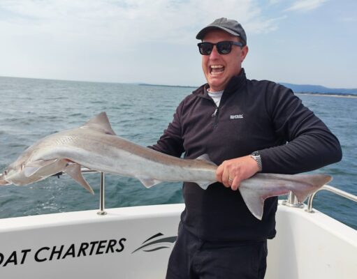 Pollack from the wrecks & specimen sized Tope for Wicklow Boat Charters