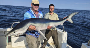 Excellent shark fishing, superb fish on Silver Dawn at Courtmacsherry