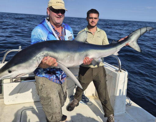Excellent shark fishing, superb fish on Silver Dawn at Courtmacsherry