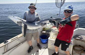 Budding Specimen Hunter Iarla Cott gets some fine fishing in Cork Harbour