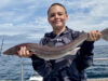 Heatwave heats up the fishing in west Clare