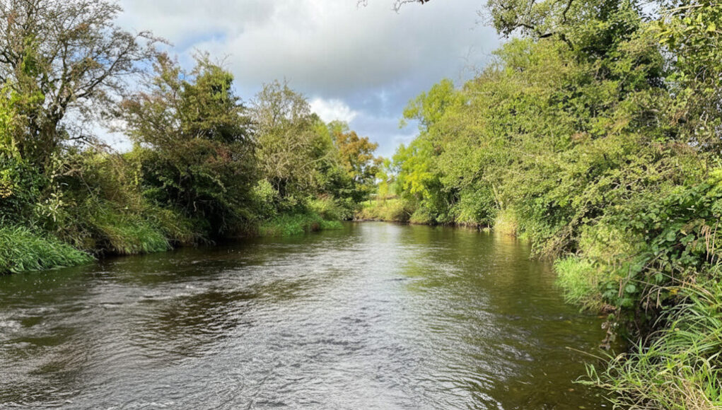 Dennet River