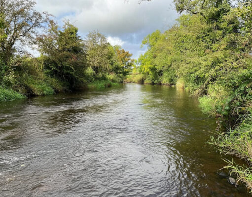 Finore and Dennett Anglers Associations to sell permits online ahead of World Youth Fly Fishing Championship