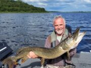 More 1m plus pike reported from the Boyle region