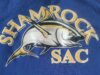 Shamrock SAC Open Boat Competition scheduled for 11th July @ Howth