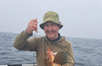 Plenty species for Saoire Mara Charters in Donegal