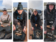Magic for Maciej as bumper bream hauls seals a win